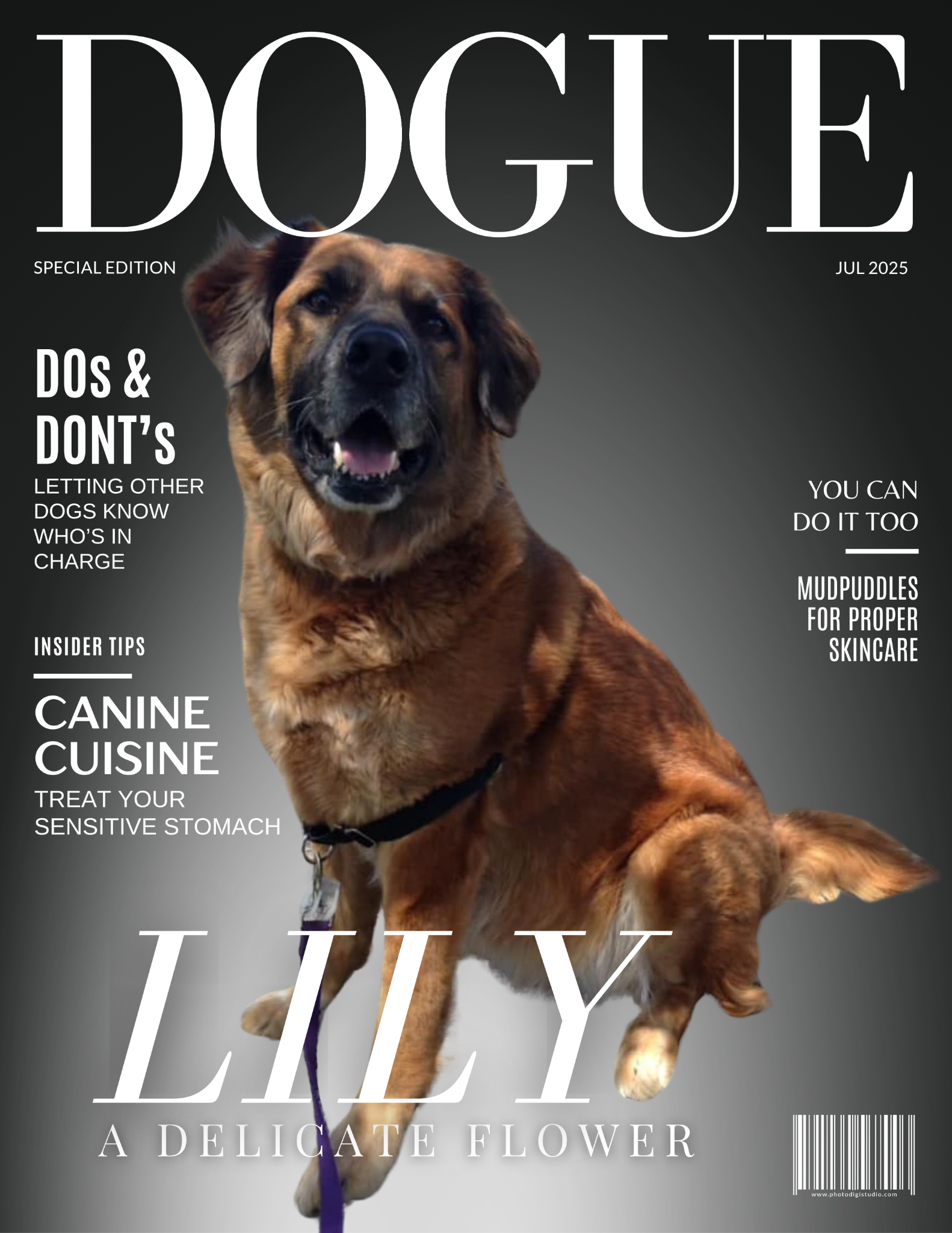 High Fashion sample cover