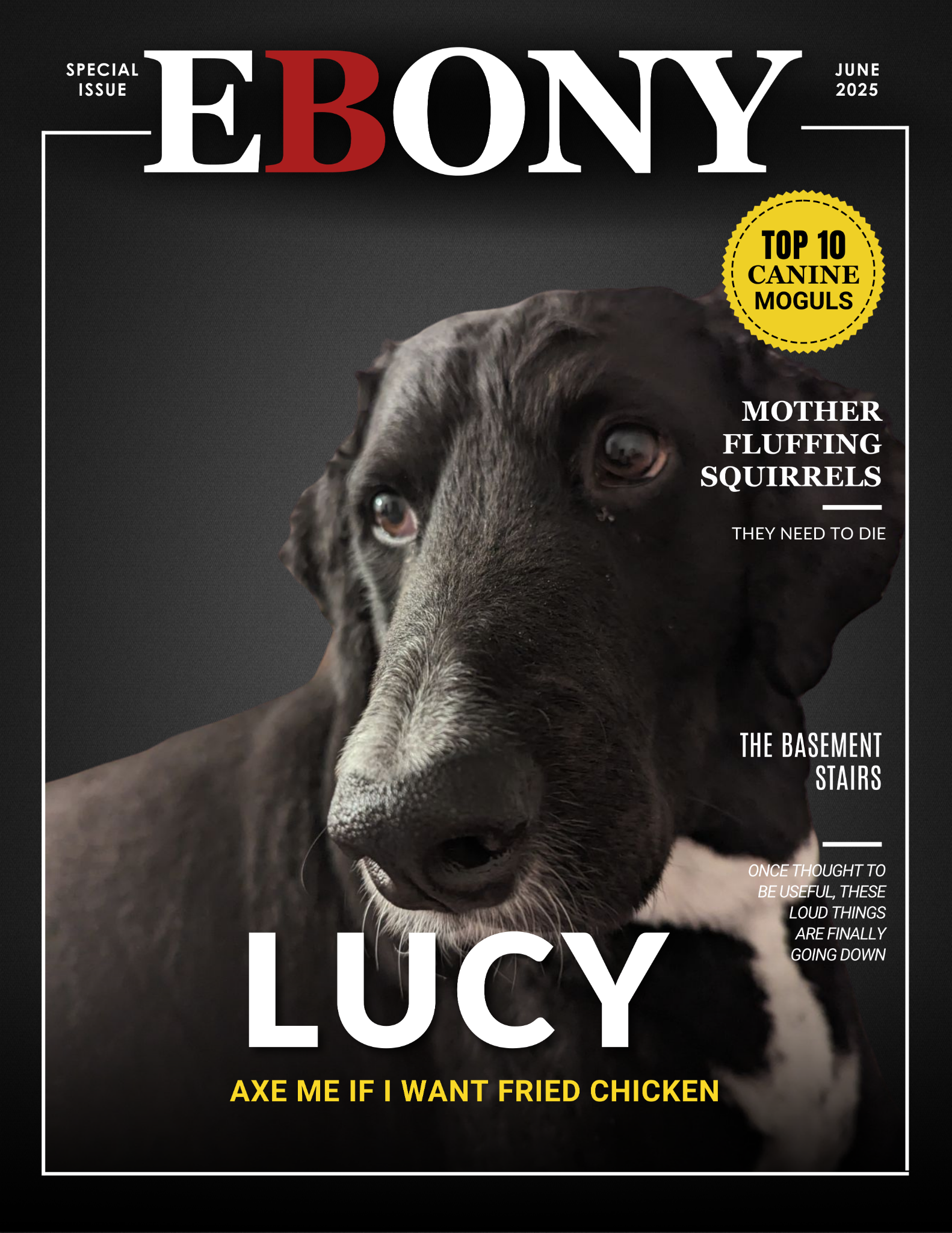 The Lucy Issue sample cover