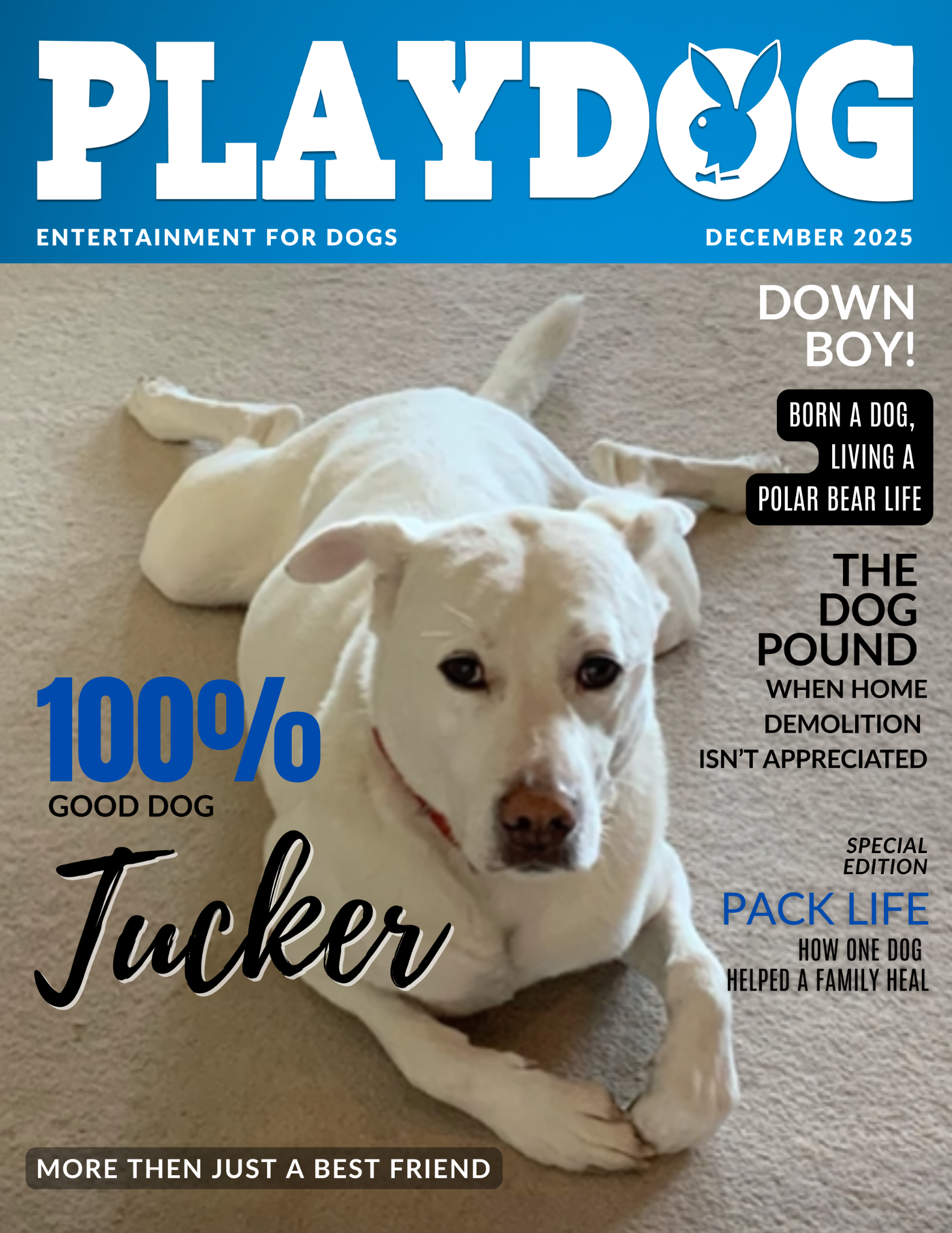 Playdog sample cover