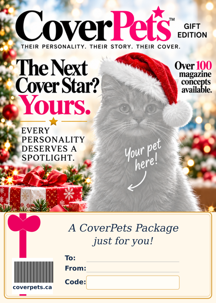 Christmas Gift Edition