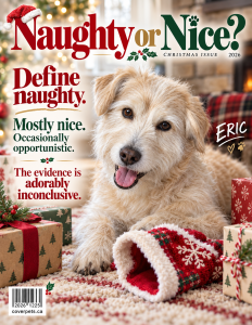 Naughty or Nice? sample cover