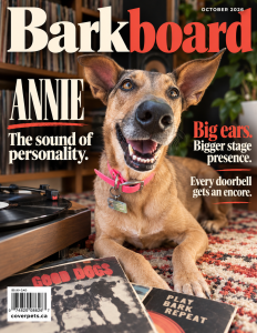 Barkboard sample cover