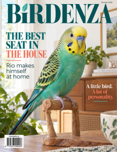 Birdenza sample cover