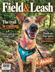 Field & Leash sample cover