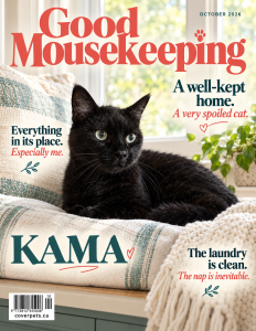 Good Mousekeeping sample cover