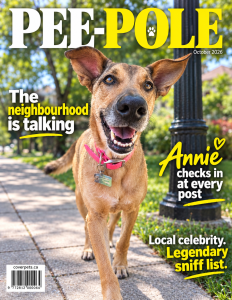 Pee-pole sample cover