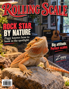 Rolling Scale sample cover