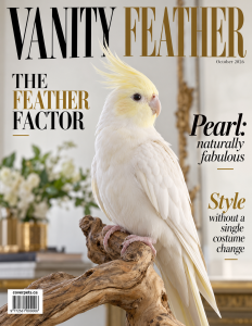 Vanity Feather sample cover
