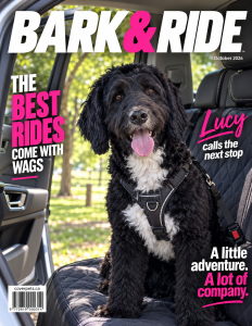 Bark & Ride sample cover