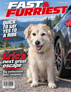 Fast & Furriest sample cover