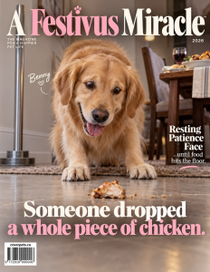A Festivus Miracle sample cover
