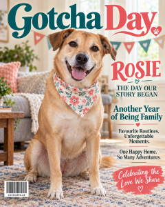 Gotcha Day sample cover