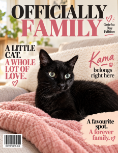 Officially Family sample cover