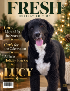 FRESH - Holiday Edition sample cover