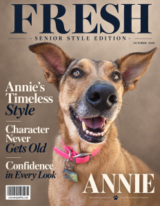 FRESH - Senior Style Edition sample cover
