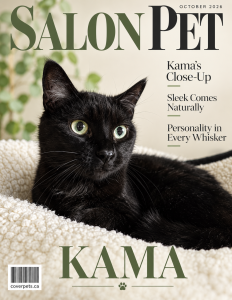 SALON PET sample cover