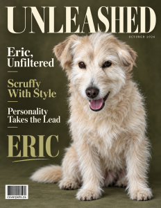 UNLEASHED sample cover