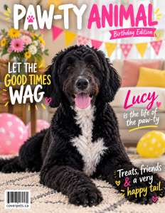 Paw-ty Animal sample cover