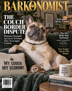 Couch Border Dispute sample cover