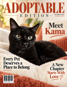 Adoptable Edition sample cover
