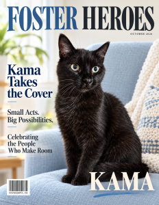 Foster Heroes sample cover