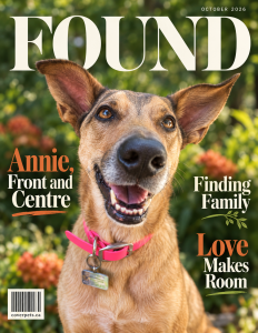 Found sample cover