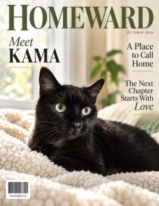 Homeward sample cover