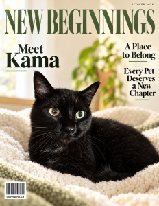 New Beginnings sample cover
