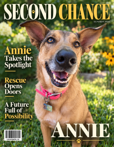 Second Chance sample cover